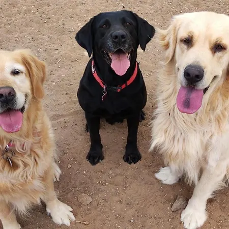 Ferienhaus La Casita