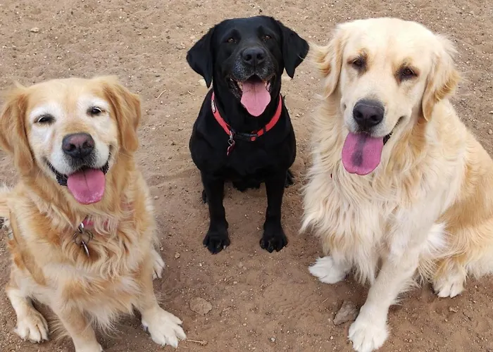 Vakantiehuis La Casita